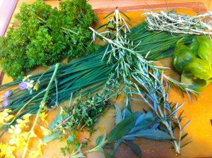 Parsley, chives, basil, sage, rosemary, thyme, broccoli flowers, and curry leaves. 