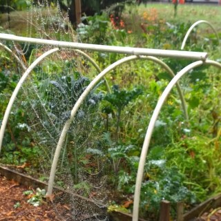 Spider Web Namaste Nutritionist Garden