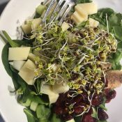 Salad pic with sprouts